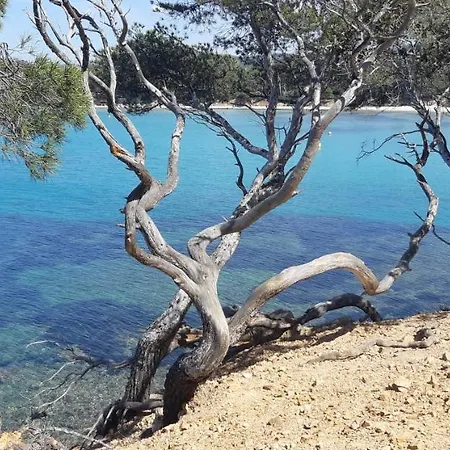 Roulotte Fenouillet Οργανωμένο κάμπινγκ *